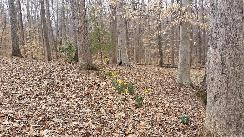 7306 Haw Ridge Road Summerfield, NC 27358 - Photo 21 of 22