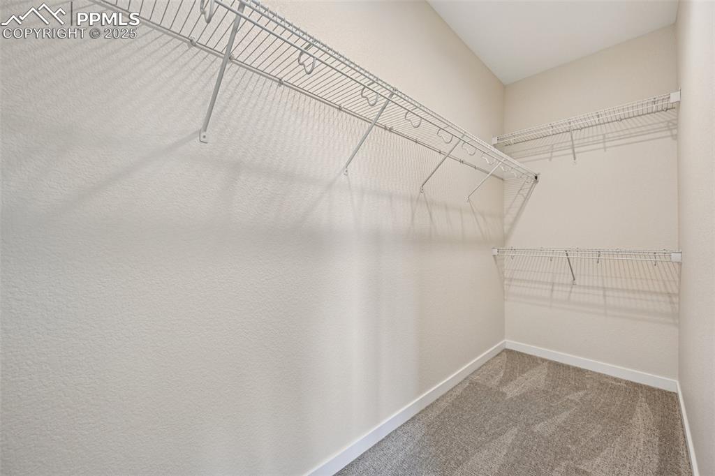 1089 Rumbling Sky Place Castle Rock, CO 80108 - Photo 35 of 50