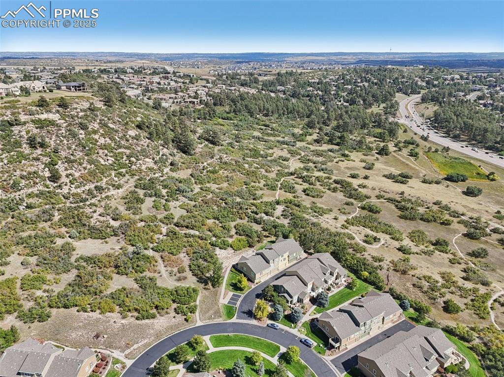 1089 Rumbling Sky Place Castle Rock, CO 80108 - Photo 5 of 50