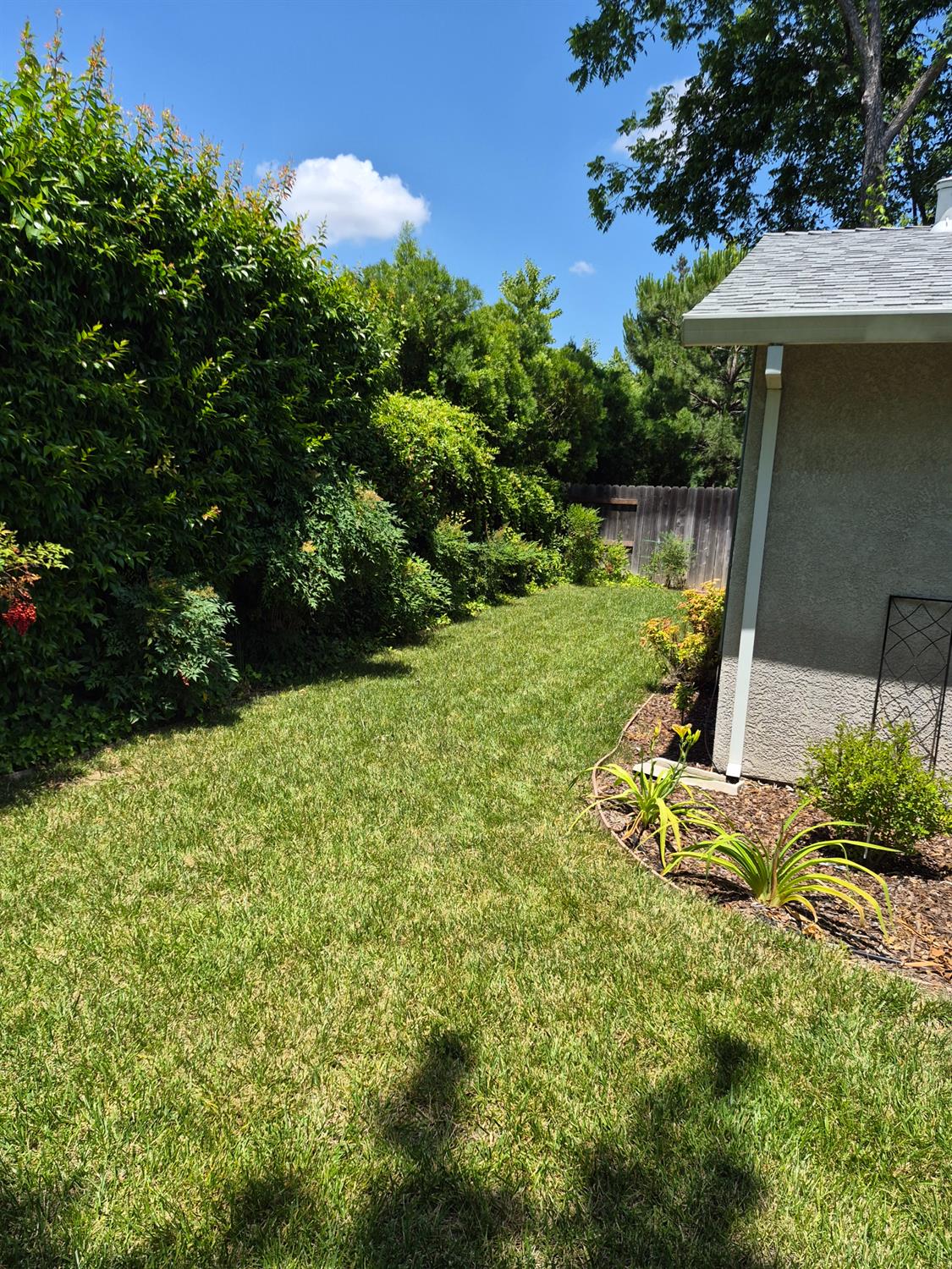 5817 Keyntel Street Citrus Heights, CA 95621 - Photo 30 of 30