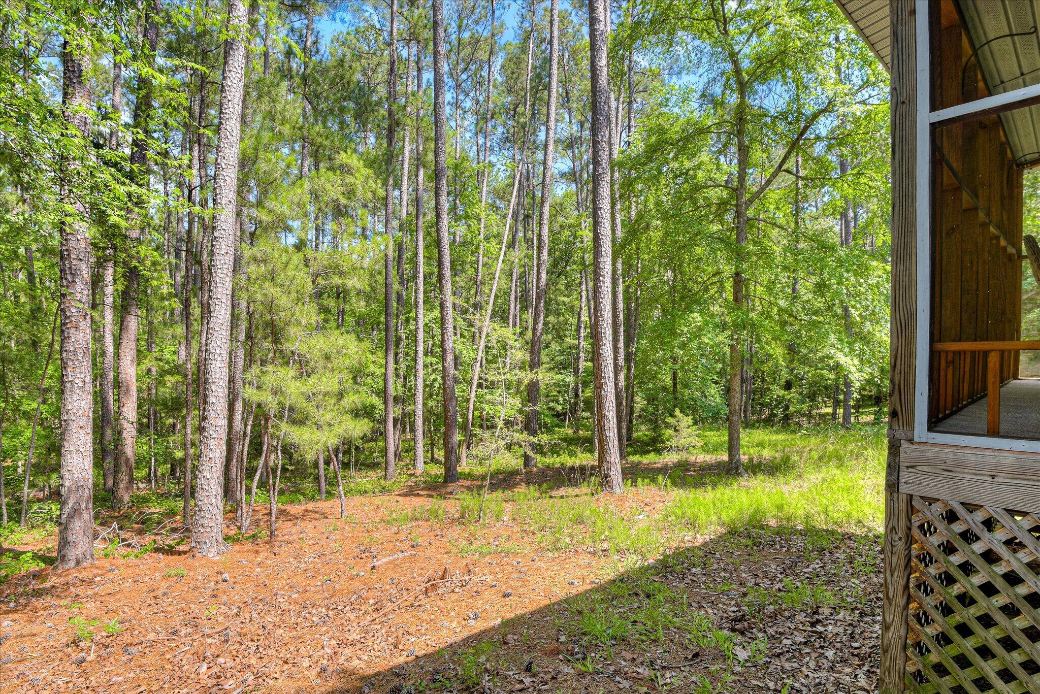 159 Rhett Drive McCormick, SC 29835 - Photo 25 of 31 32-132