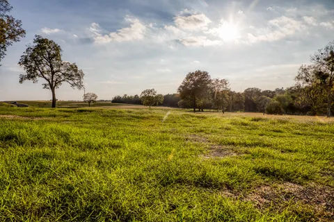 $216,473 | Tbd Tbd Sunshine Court, Chappell Hill, TX 77426