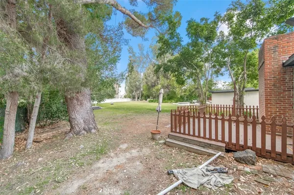 a view of a yard with plants and trees