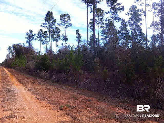 6 Red Cloud Road Pensacola, FL 32507 - Photo 1 of 2