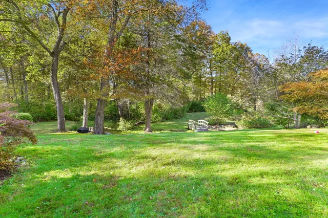 a view of a park with large trees