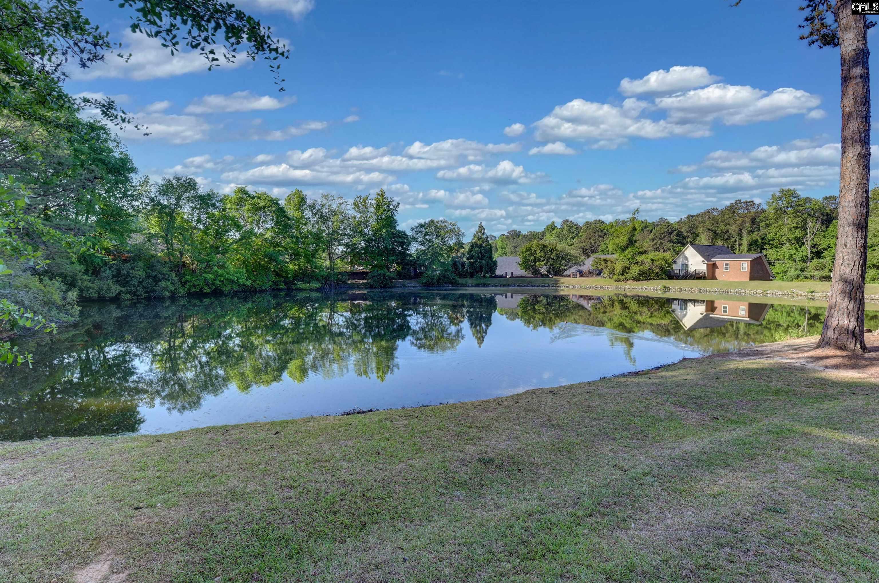 121 Wandering Brook Road Irmo, SC 29063 - Photo 11 of 47