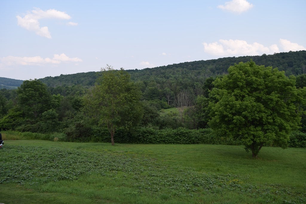 1030 Jemison Road Westfield, PA 16950 - Photo 26 of 28 Gallery Image 26