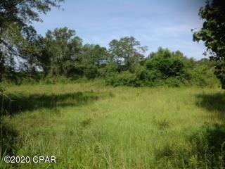 5134 Elmore Road Graceville, FL 32440 - Photo 21 of 37