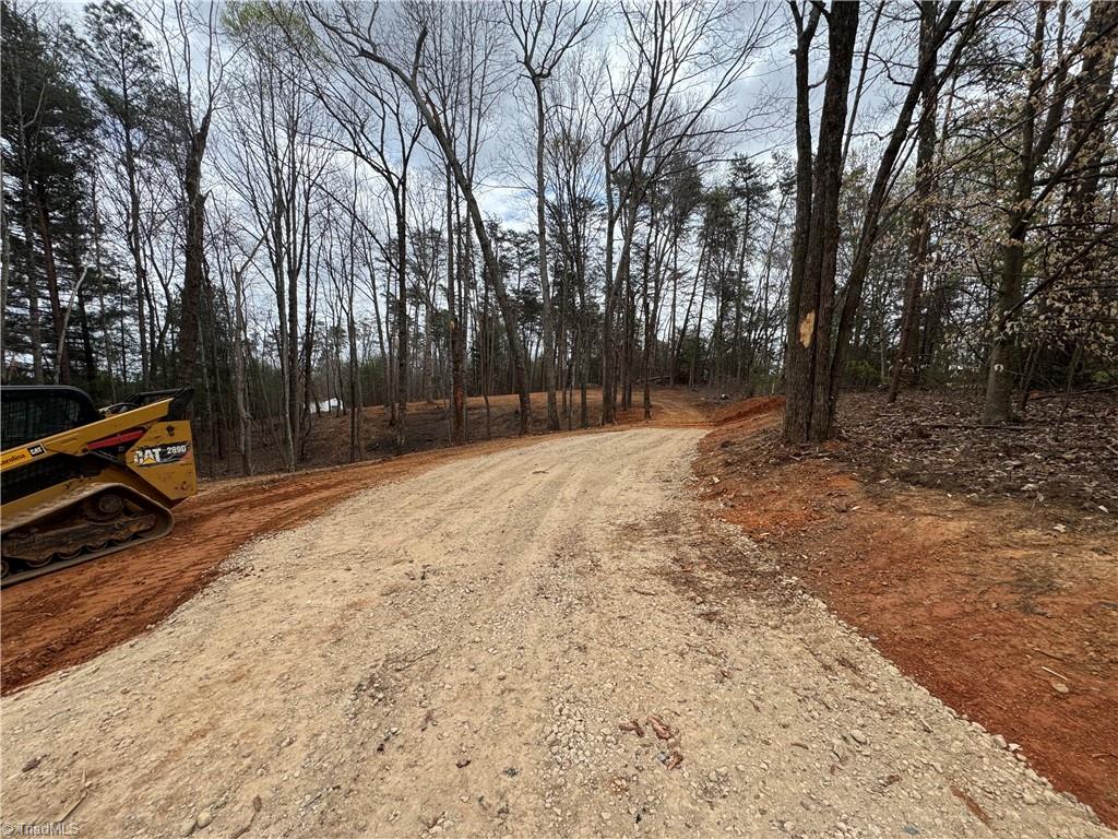 0 Creekside Way Road Pinnacle, NC 27043 - Photo 2 of 9