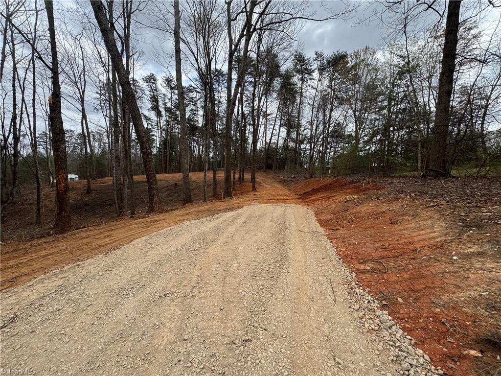 0 Creekside Way Road Pinnacle, NC 27043 - Photo 3 of 9