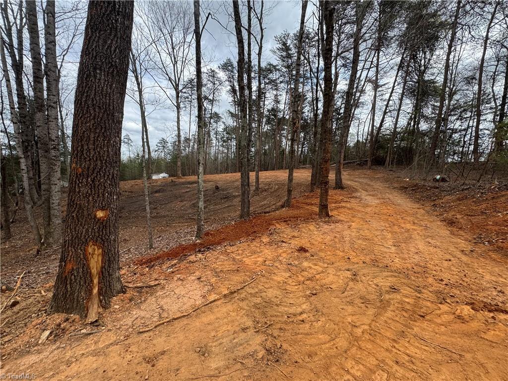 0 Creekside Way Road Pinnacle, NC 27043 - Photo 4 of 9