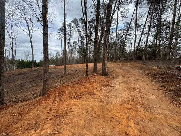 $45,000 | 0 Creekside Way Road, Pinnacle, NC 27043