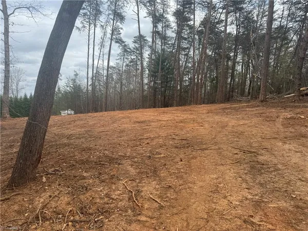 $45,000 | 0 Creekside Way Road, Pinnacle, NC 27043