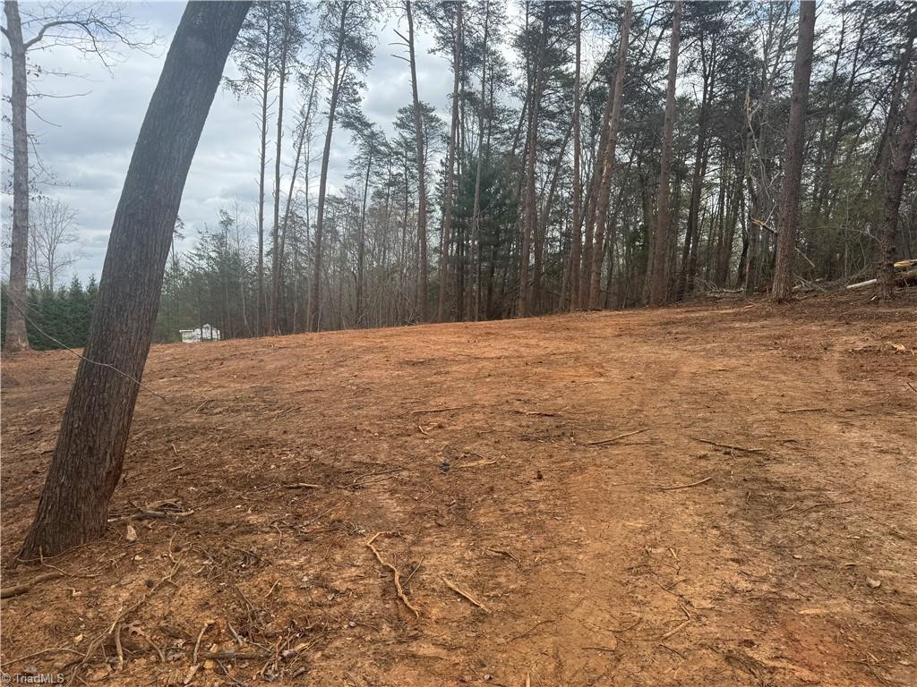 0 Creekside Way Road Pinnacle, NC 27043 - Photo 6 of 9