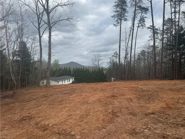$45,000 | 0 Creekside Way Road, Pinnacle, NC 27043