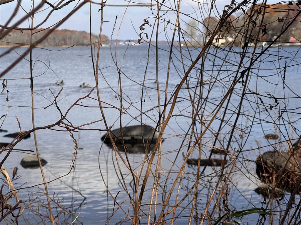 0 Tickle Road Westport, MA 02790 - Photo 13 of 15 a view of a terrace