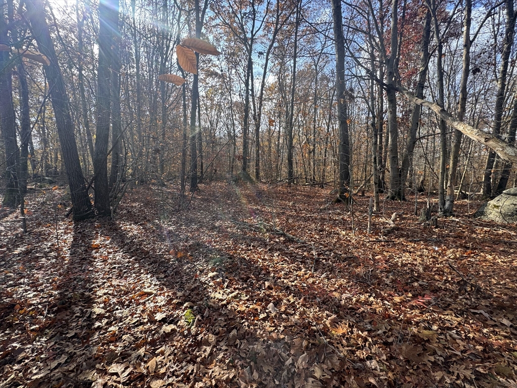 0 Tickle Road Westport, MA 02790 - Photo 2 of 15 a view of a backyard with trees