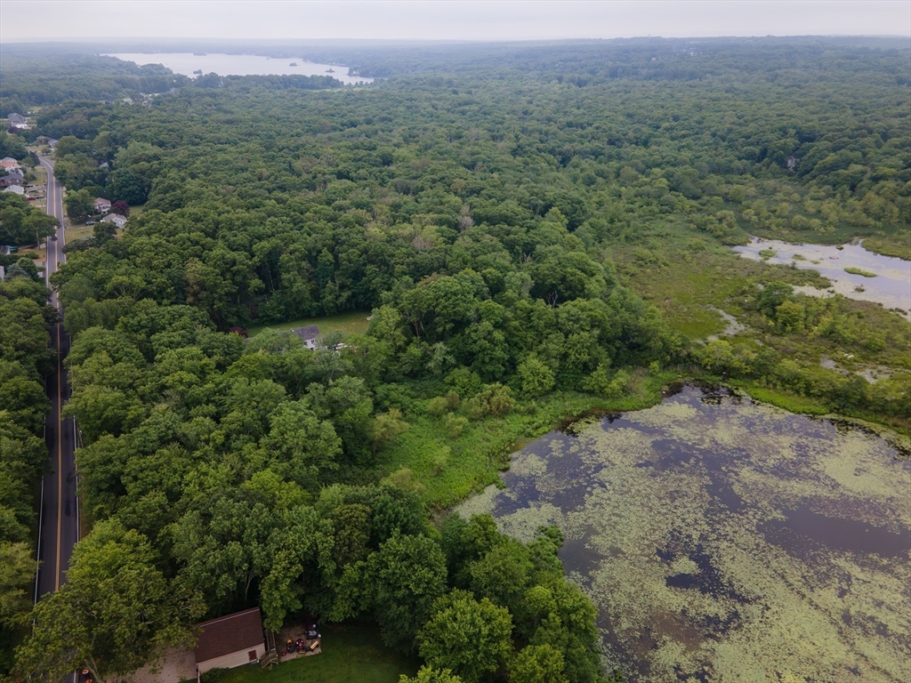 0 Tickle Road Westport, MA 02790 - Photo 9 of 15 a view of a forest with a street