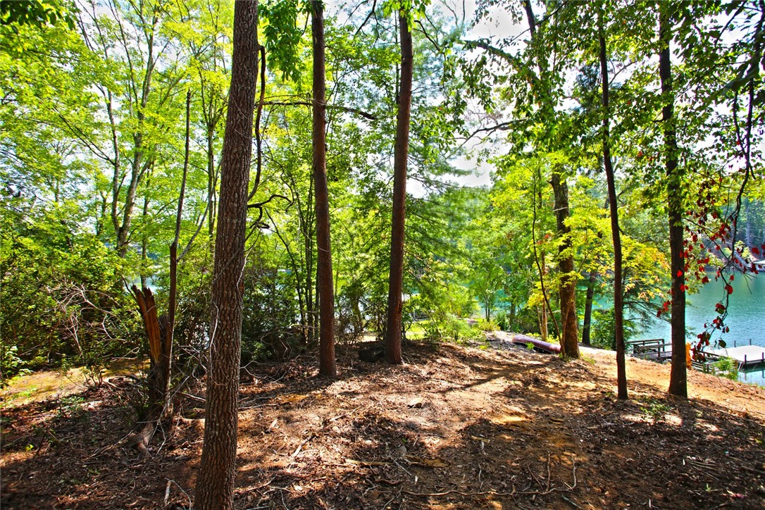 590 Old Chapman Bridge Road Salem, SC 29676 - Photo 30 of 43 Mature trees line the sloping bank overlooking the calm waterfront below.