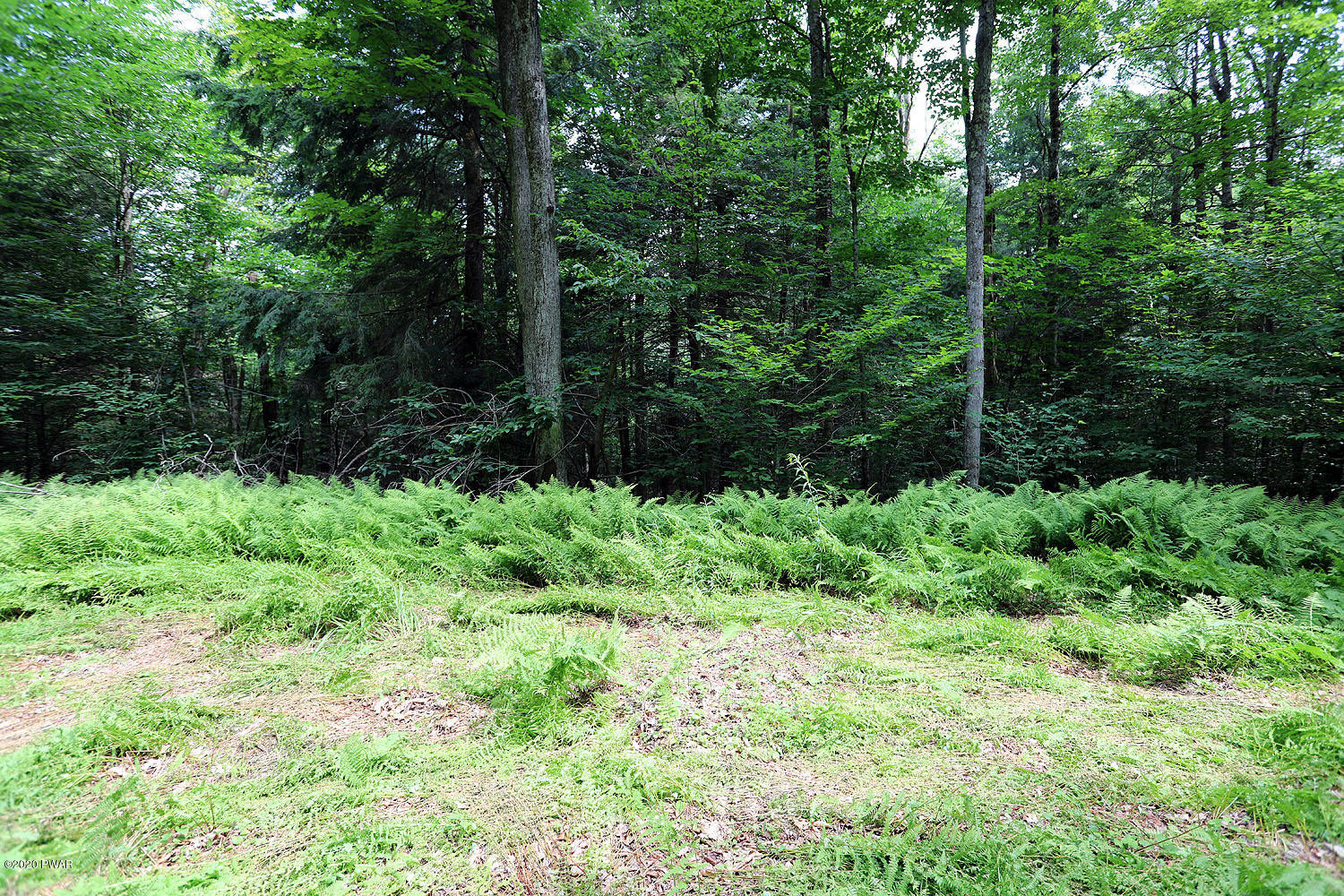 0 Minckler Mountain Road Equinunk, PA 18417 - Photo 27 of 39