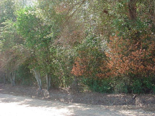 17 Eaton Road Ashford, AL 36312 - Photo 1 of 1