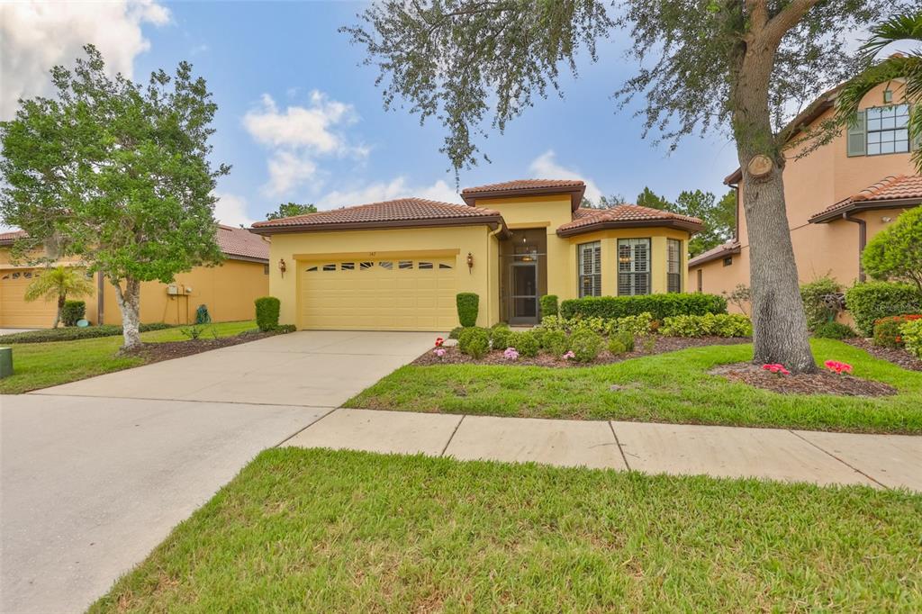 147 Silver Falls Drive Apollo Beach, FL 33572 - Photo 2 of 72