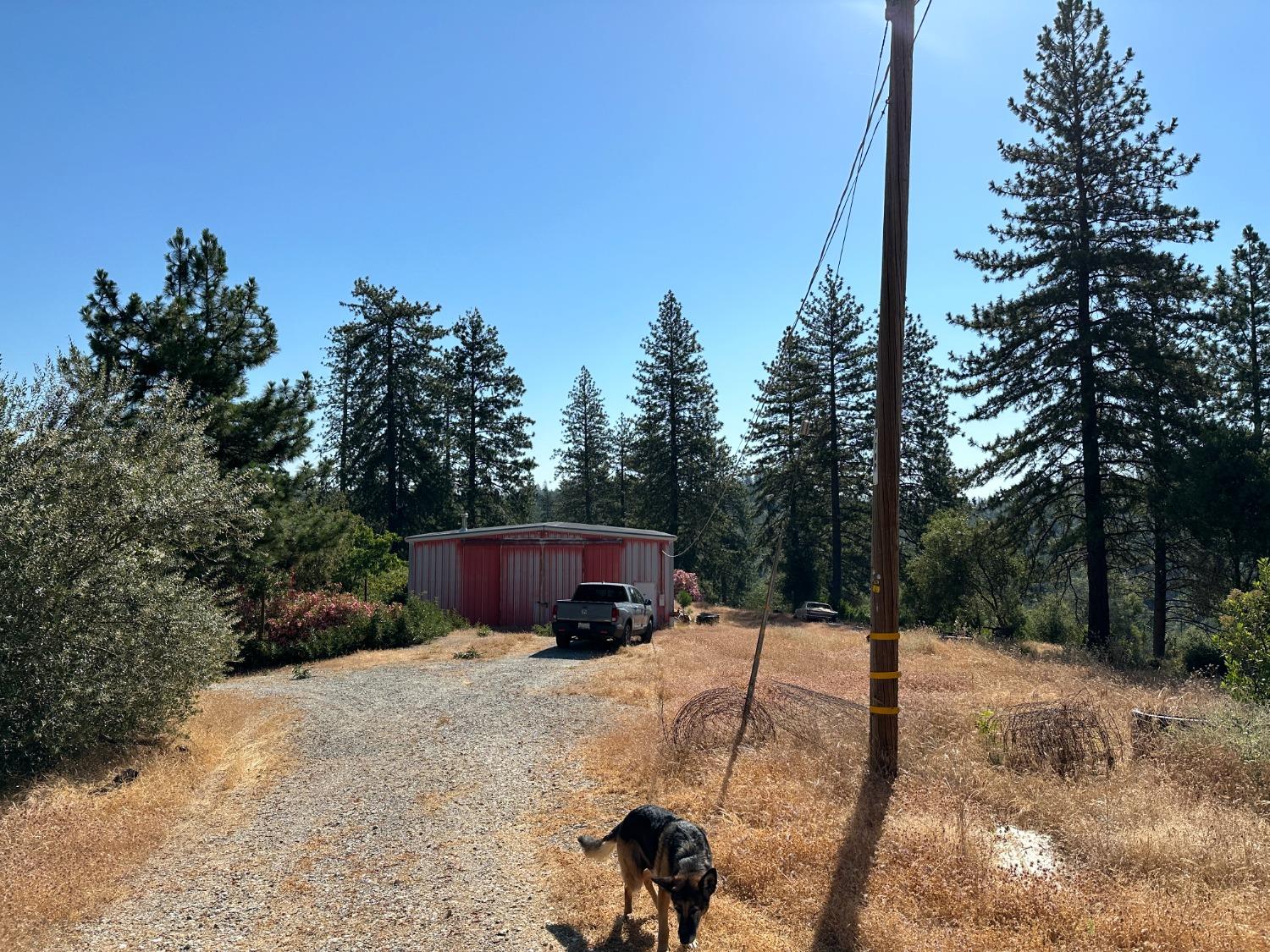 2148 Falcon Mine Road Murphys, CA 95247 - Photo 1 of 1 Gallery Image 1