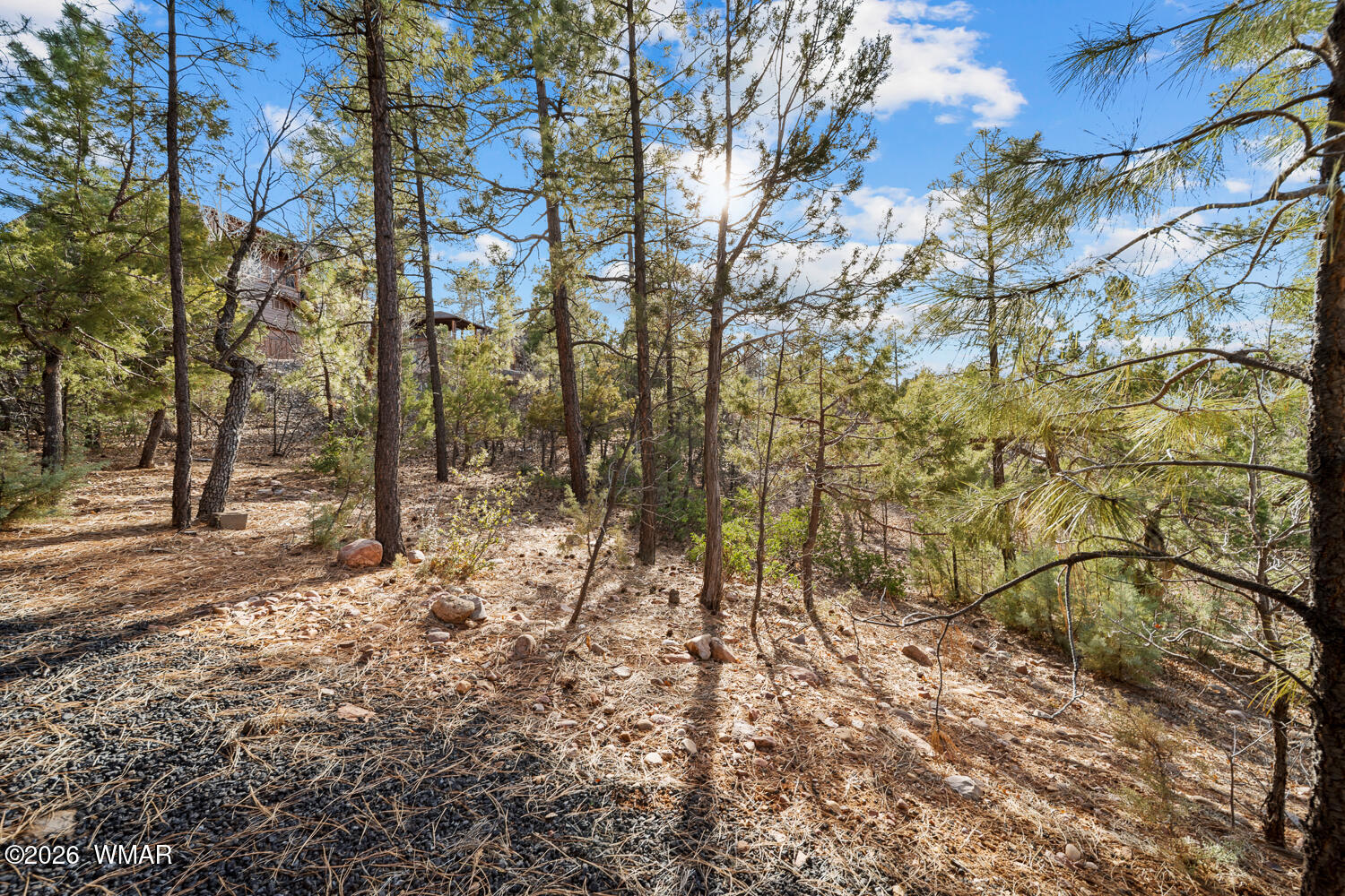 3281 West Falling Leaf Road Show Low, AZ 85901 - Photo 119 of 120 TF-35_(2048)