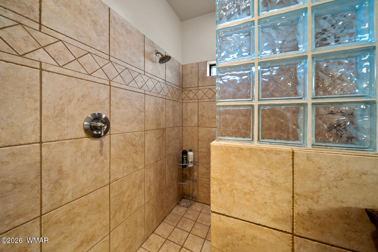 3281 West Falling Leaf Road Show Low, AZ 85901 - Photo 60 of 120 TF-74_(2048)