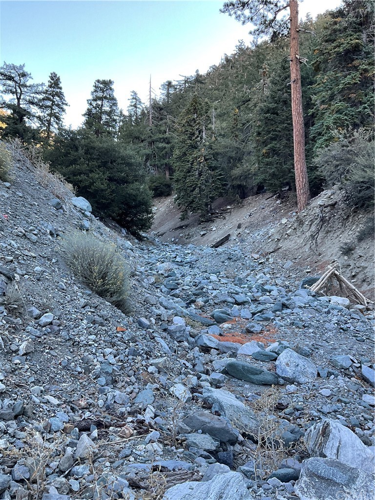 30 Manker Mount Baldy, CA 91759 - Photo 40 of 42 a big yard with lots of green space