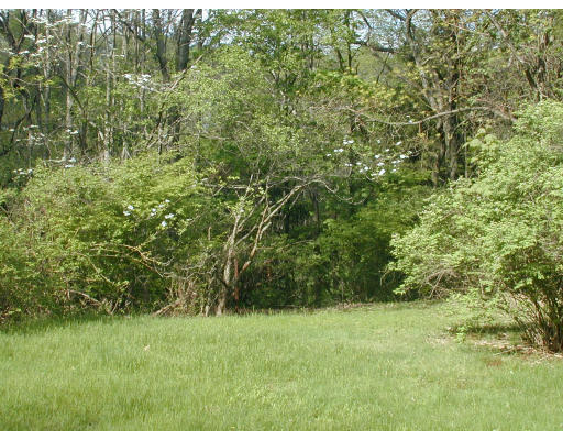 787 Boston Post Road Weston, MA 02493 - Photo 1 of 1