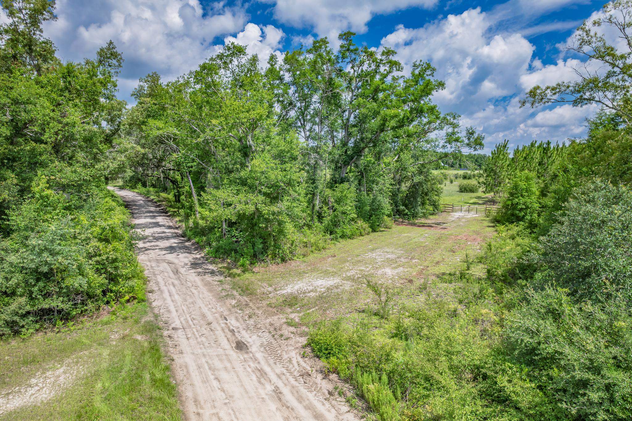 Xxx Northeast Hickory Grove Road Pinetta, FL 32350 - Photo 10 of 32