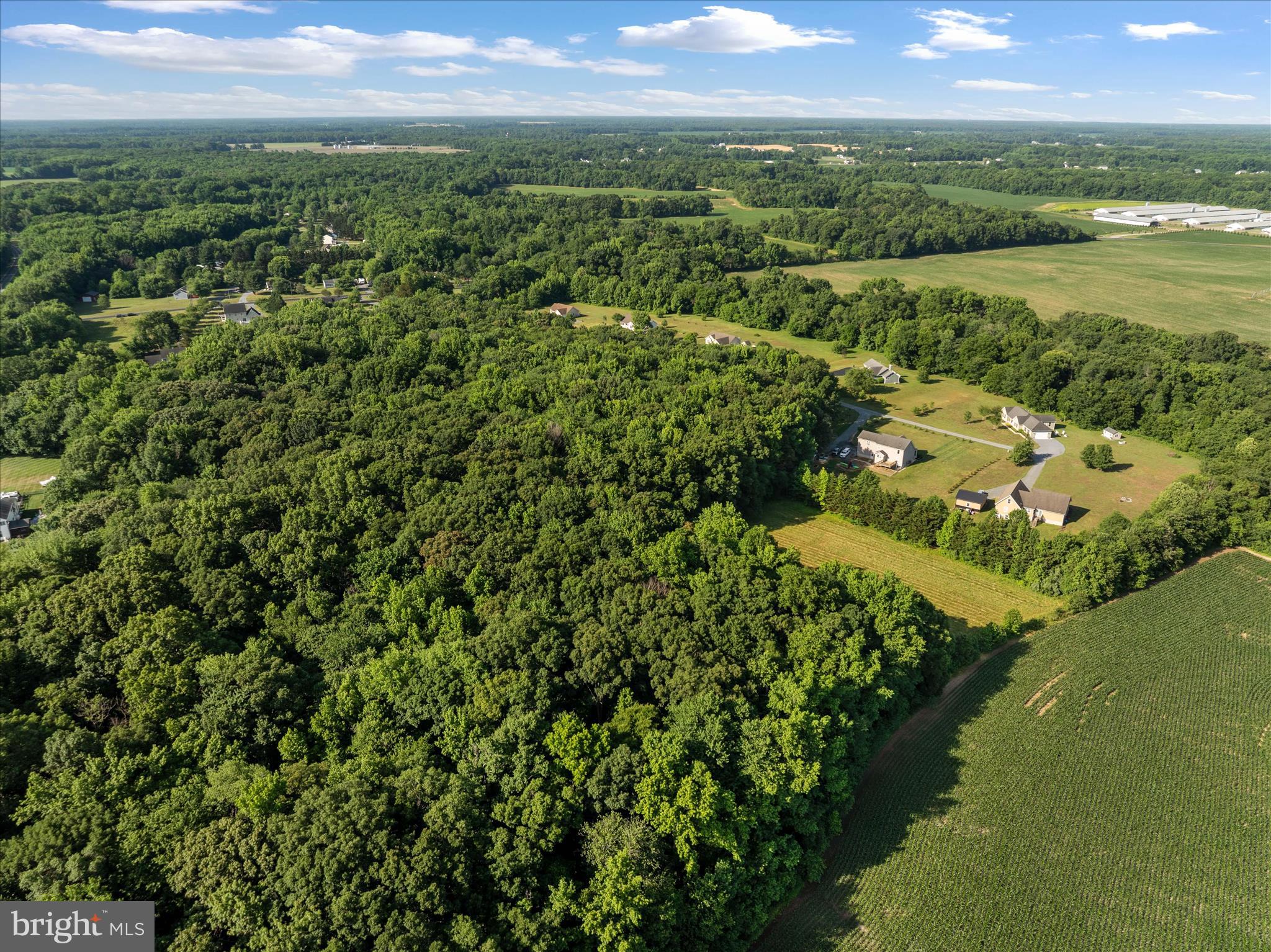 913 Clark Corner Road Centreville, MD 21617 - Photo 52 of 66 Woods+ Open space in back of lot, wildlife thrives