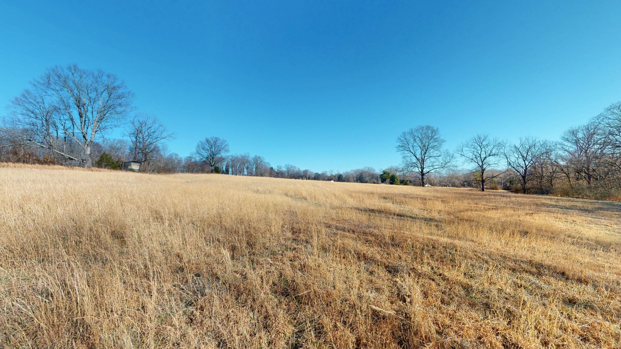 0 Bethesda Road Thompson's Station, TN 37179 - Photo 11 of 24 a view of dirt field with trees in background