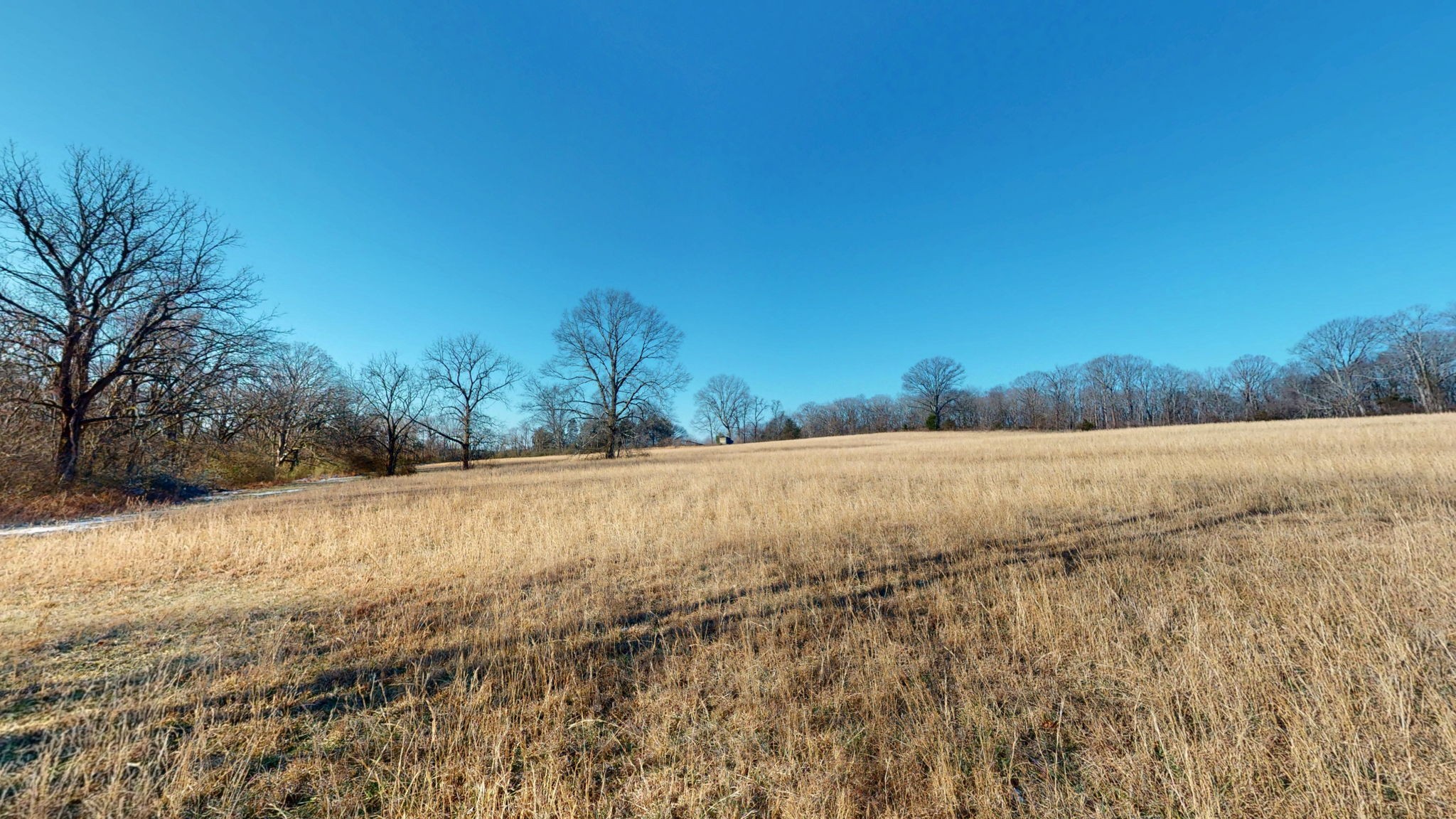 0 Bethesda Road Thompson's Station, TN 37179 - Photo 14 of 24 a view of yard and mountain
