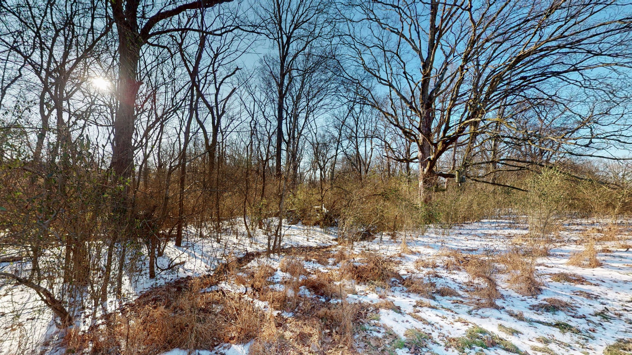 0 Bethesda Road Thompson's Station, TN 37179 - Photo 19 of 24 a view of snow covered with trees