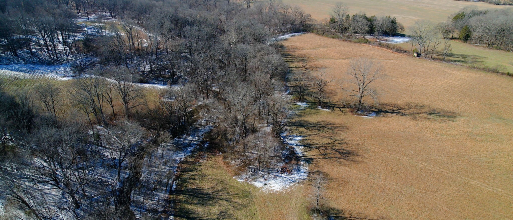 0 Bethesda Road Thompson's Station, TN 37179 - Photo 4 of 24 a view of a dry yard