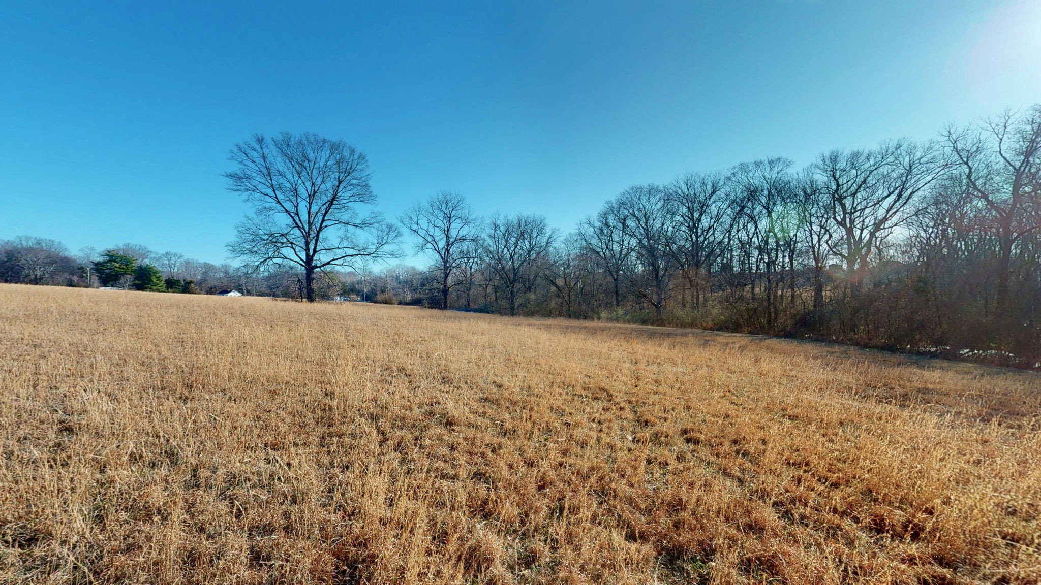 0 Bethesda Road Thompson's Station, TN 37179 - Photo 8 of 24 a backyard of a house with trees