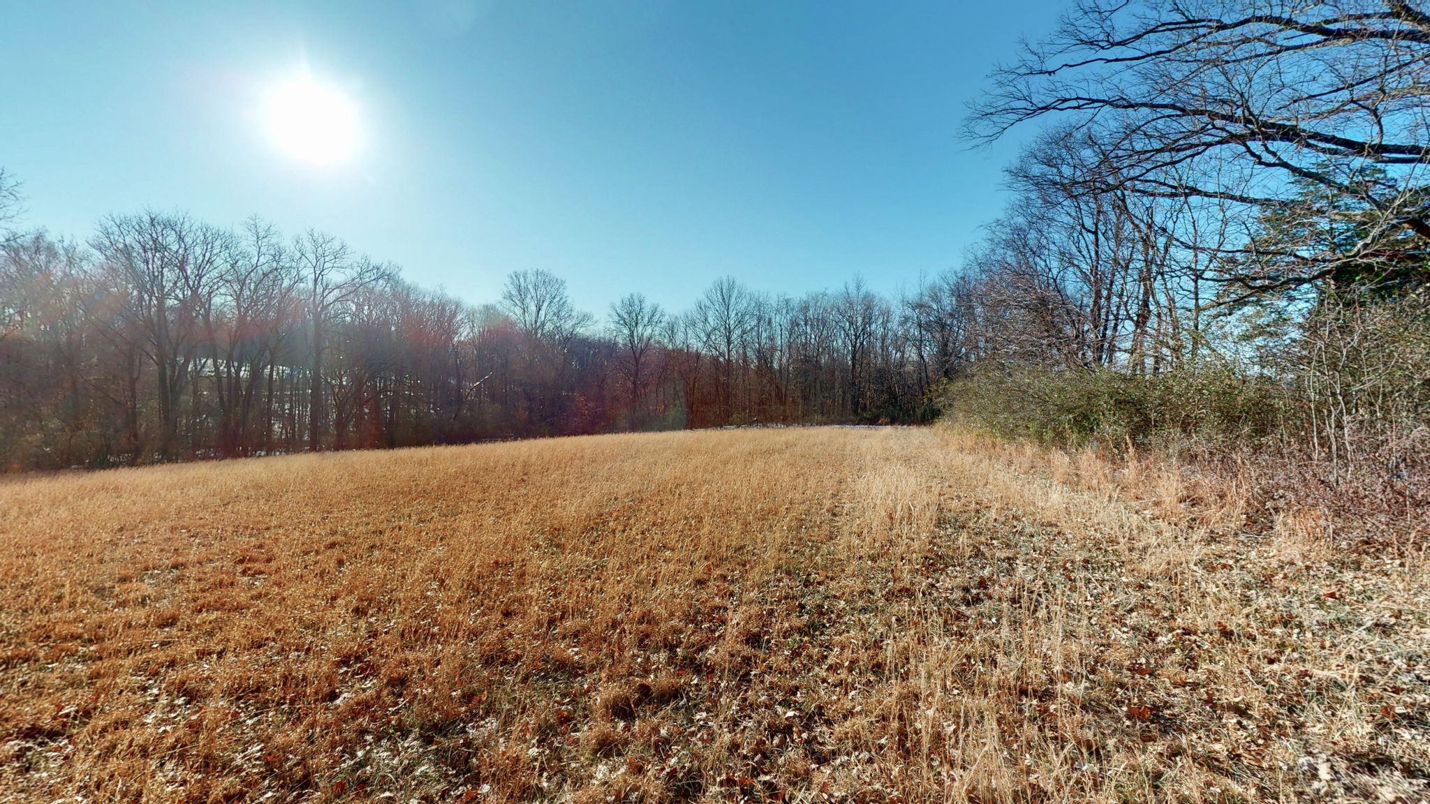 0 Bethesda Road Thompson's Station, TN 37179 - Photo 9 of 24 a view of balcony and trees