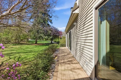 a view of a backyard with plants and large tree
