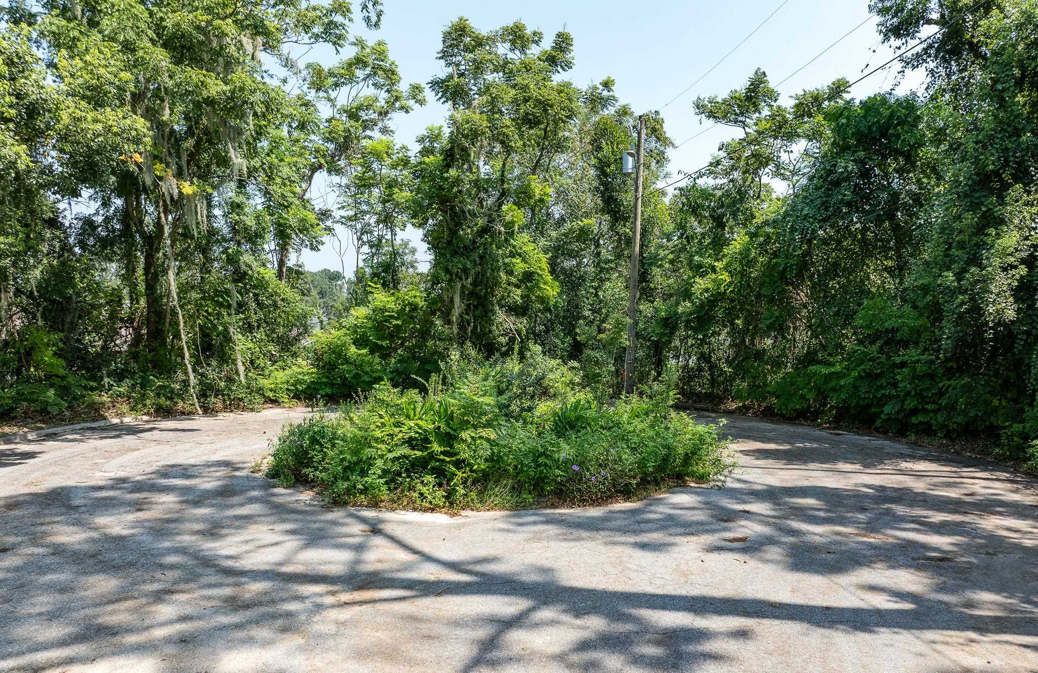 493 Northeast Shelby Extension Madison, FL 32340 - Photo 11 of 42