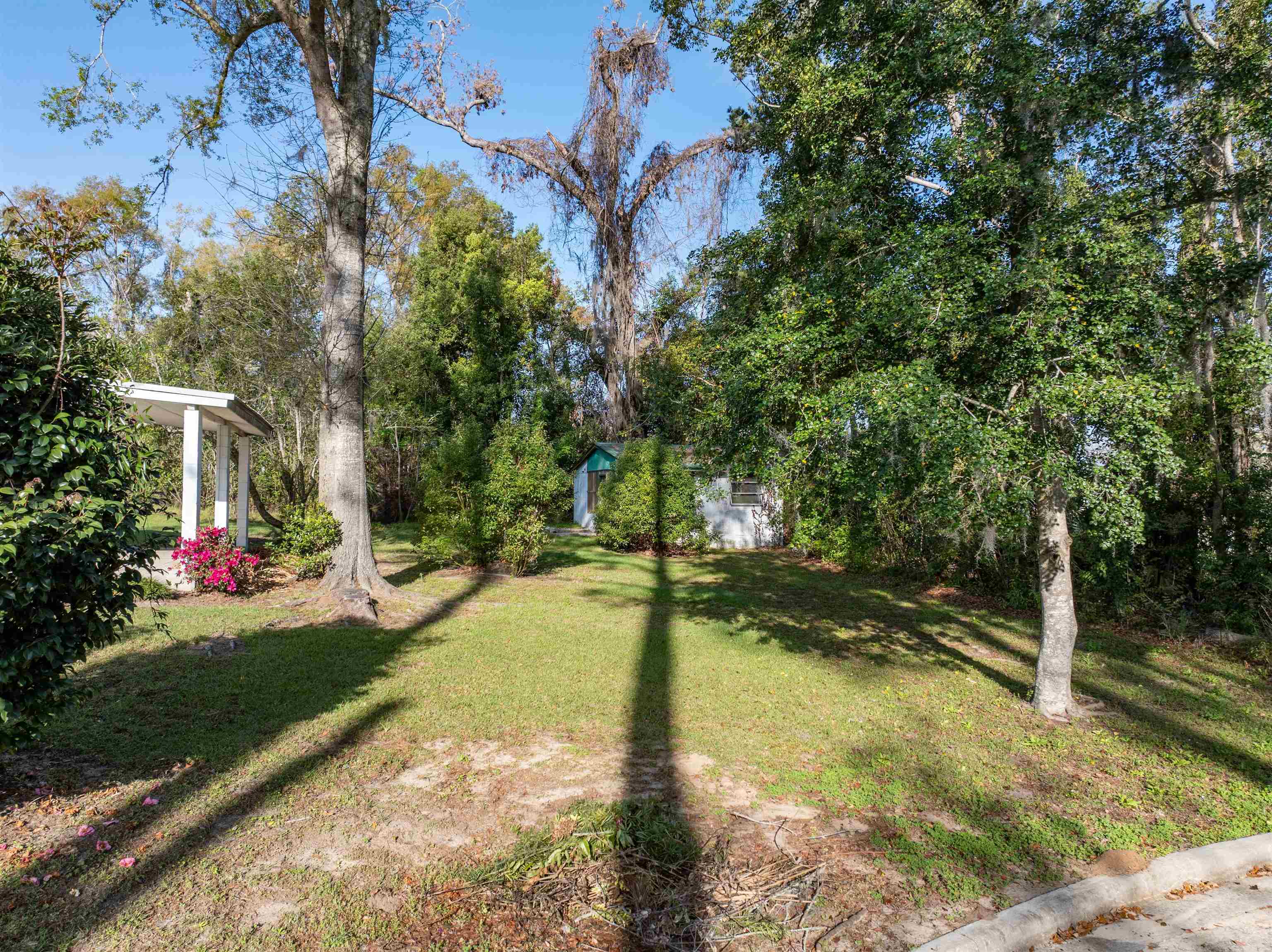 493 Northeast Shelby Extension Madison, FL 32340 - Photo 8 of 42