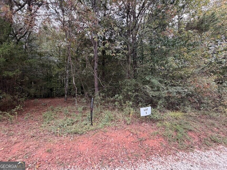 0 Lebanon Church Road, Unit TRACT 1 Jefferson, GA 30549 - Photo 3 of 15 Gallery Image 3