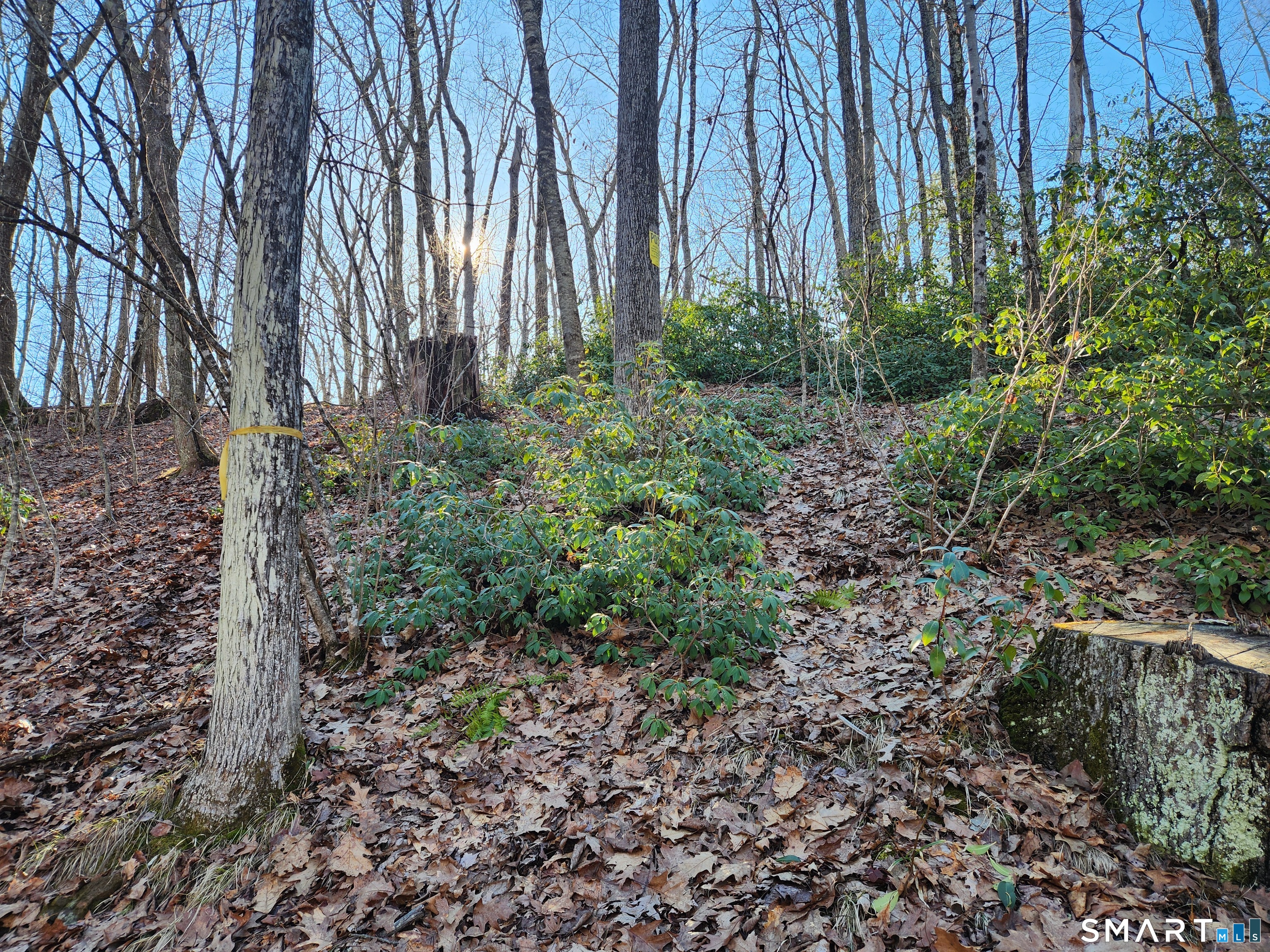 293 New City Road Stafford, CT 06076 - Photo 16 of 34 Gallery Image 16