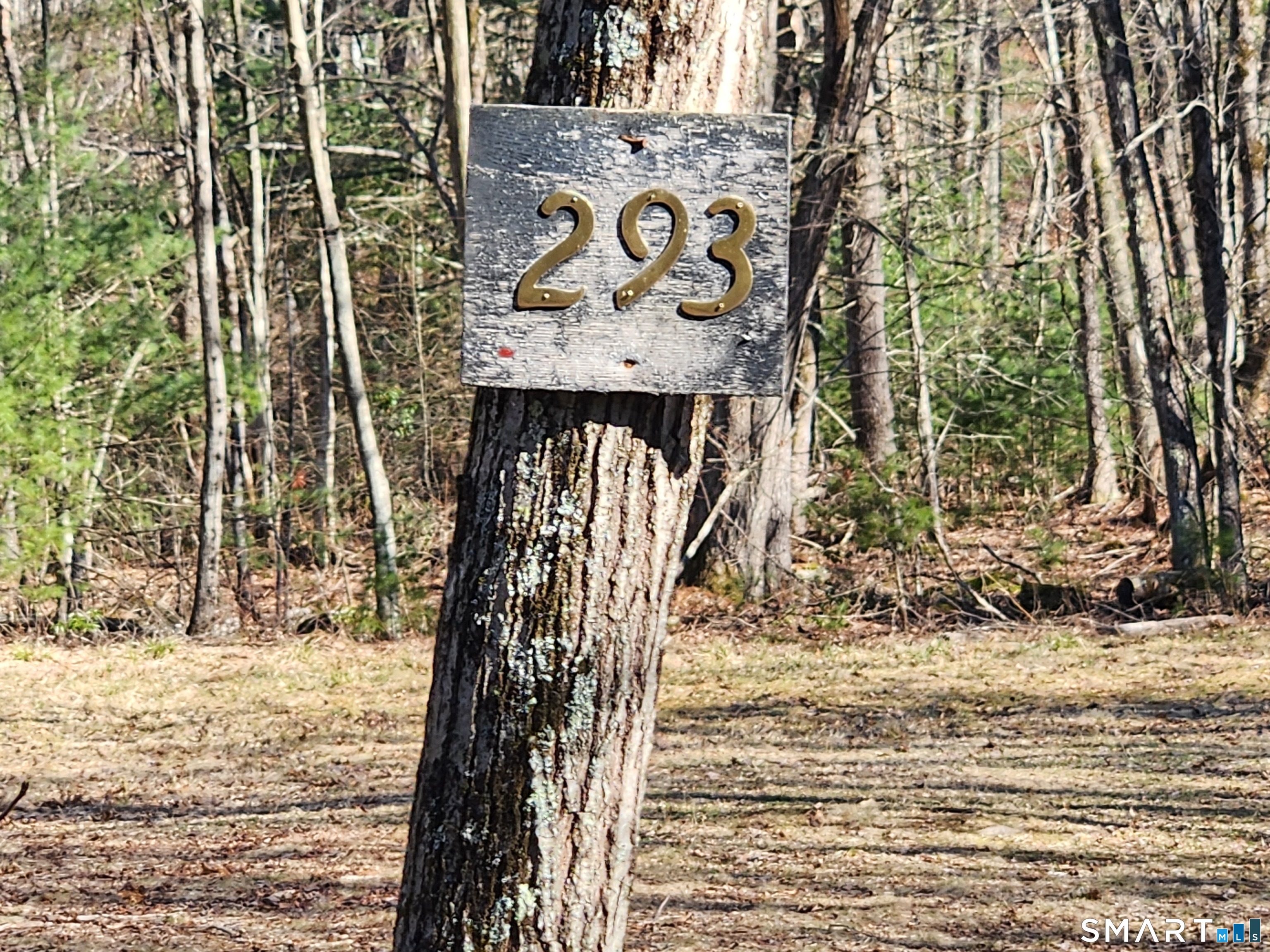 293 New City Road Stafford, CT 06076 - Photo 2 of 34 Gallery Image 2