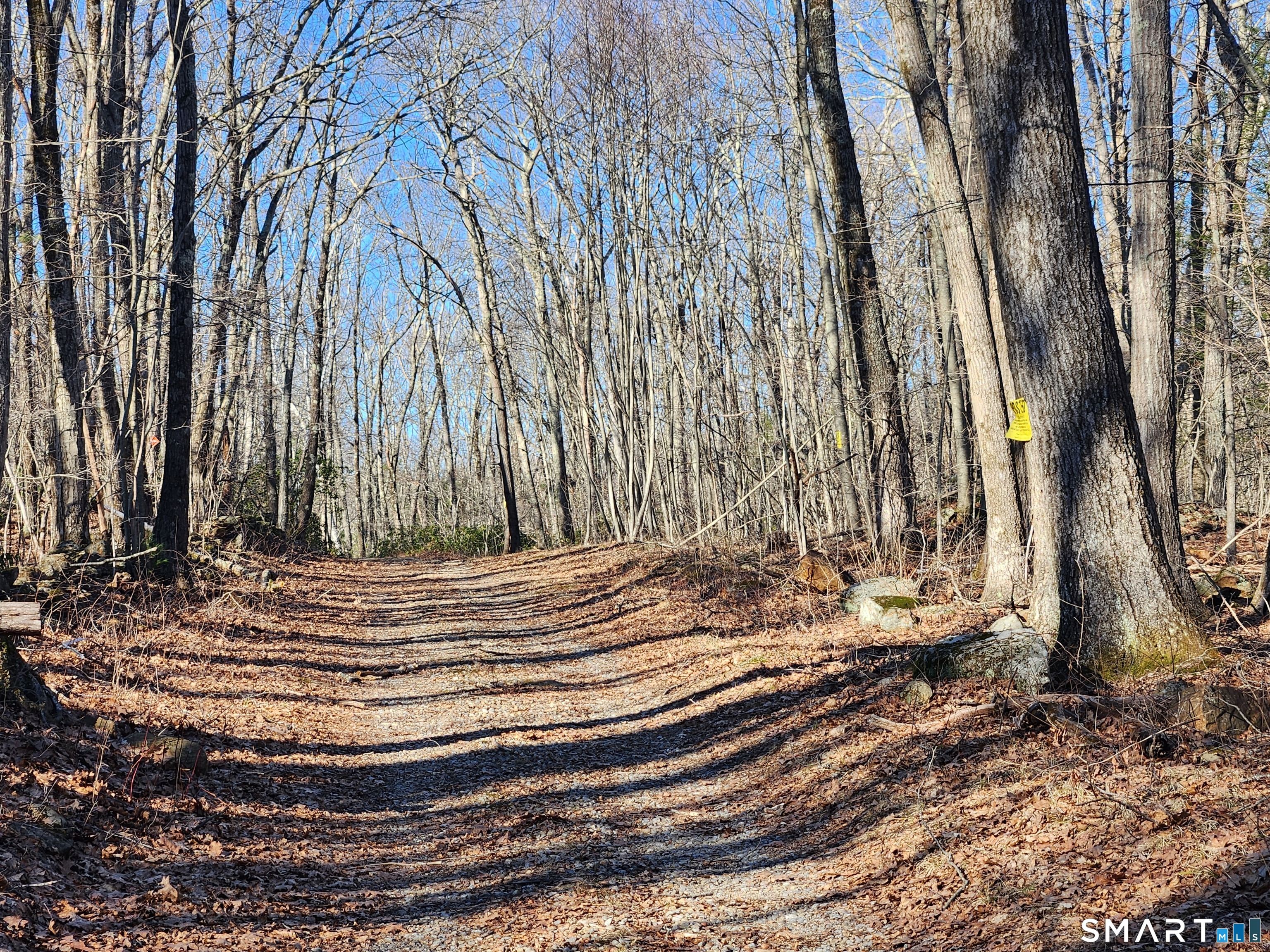 293 New City Road Stafford, CT 06076 - Photo 27 of 34 Gallery Image 27