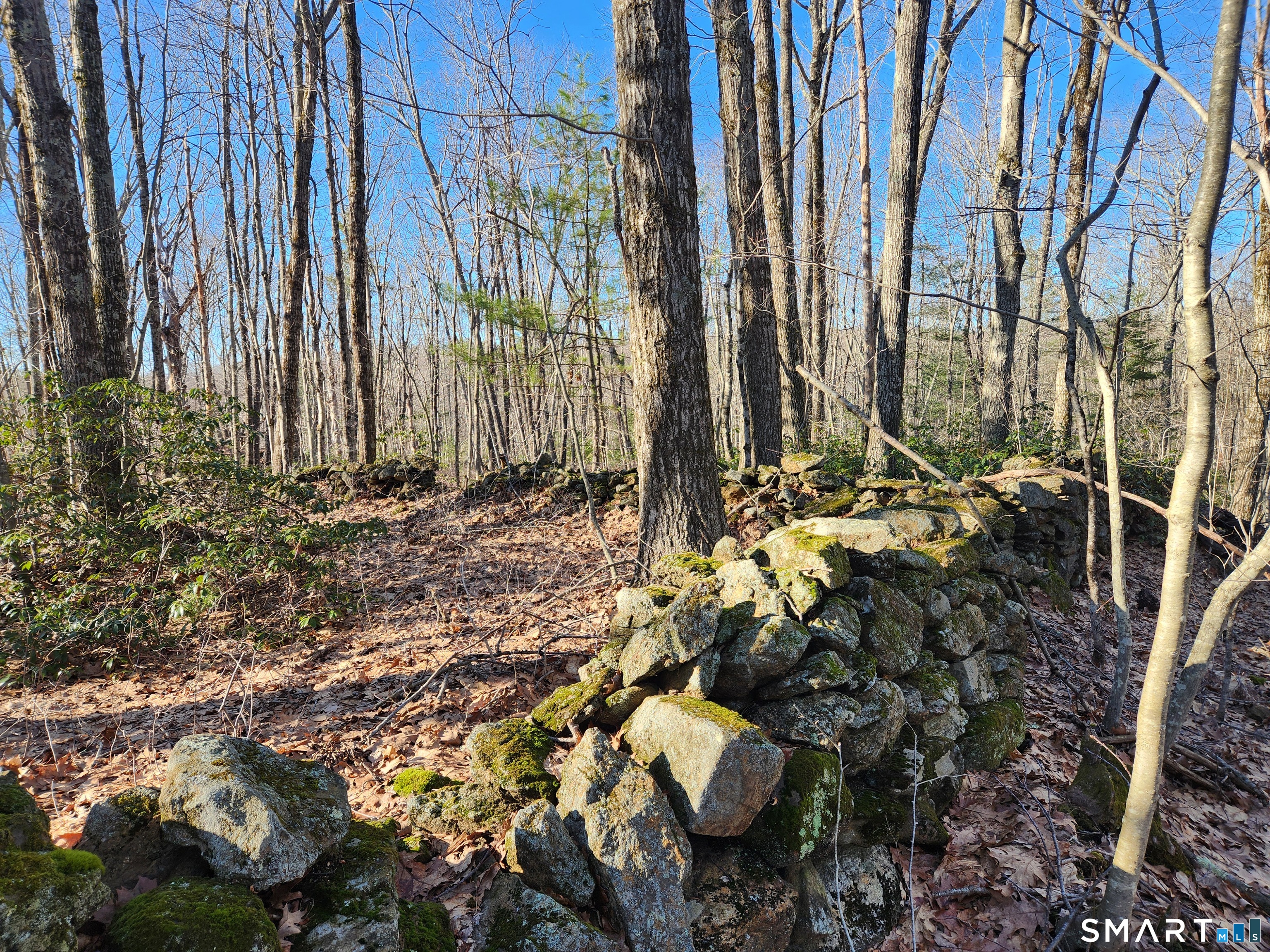 293 New City Road Stafford, CT 06076 - Photo 33 of 34 Gallery Image 33
