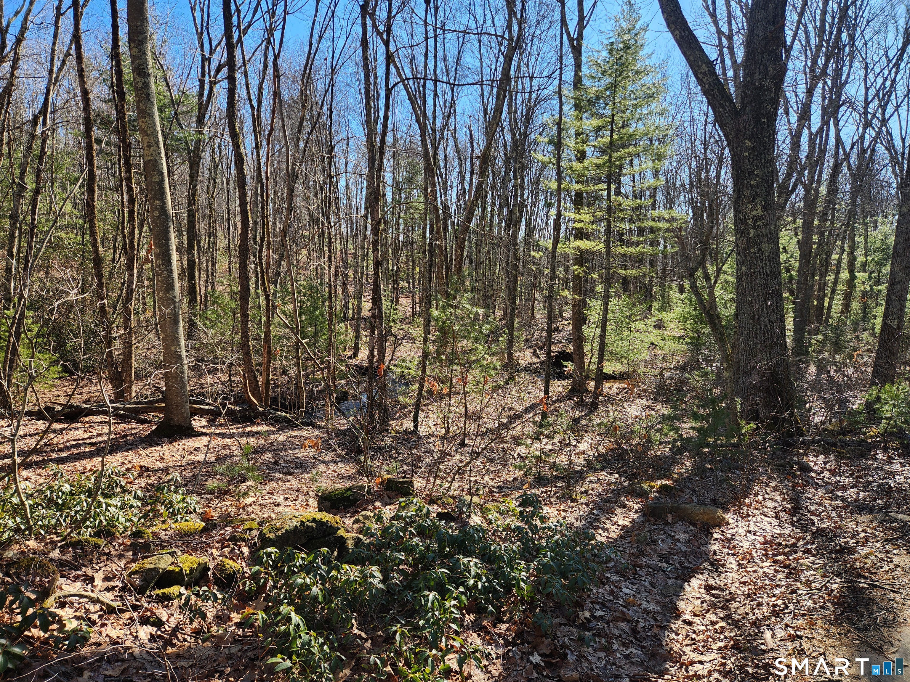 293 New City Road Stafford, CT 06076 - Photo 5 of 34 Gallery Image 5