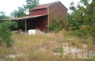 7601 Maxwell Road Autryville, NC 28318 - Photo 3 of 9 Additional Photo