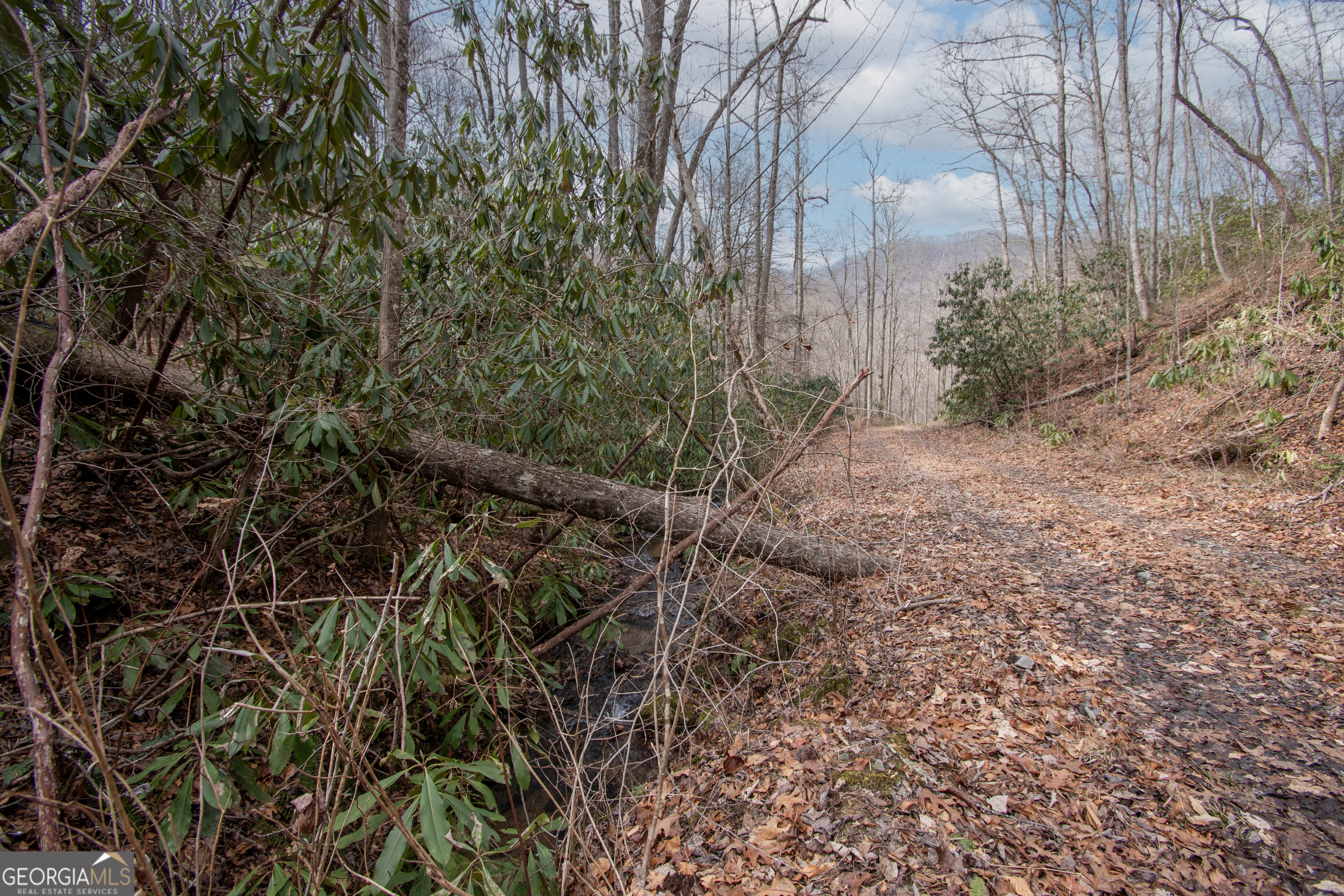 0 Walnut Cove Branch Road Robbinsville, NC 28771 - Photo 5 of 14 a backyard of a house with lots of green space